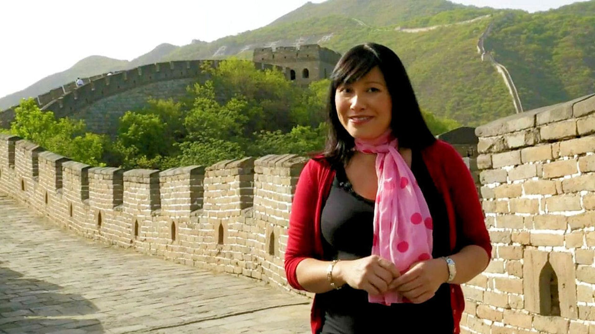The Travel Show background