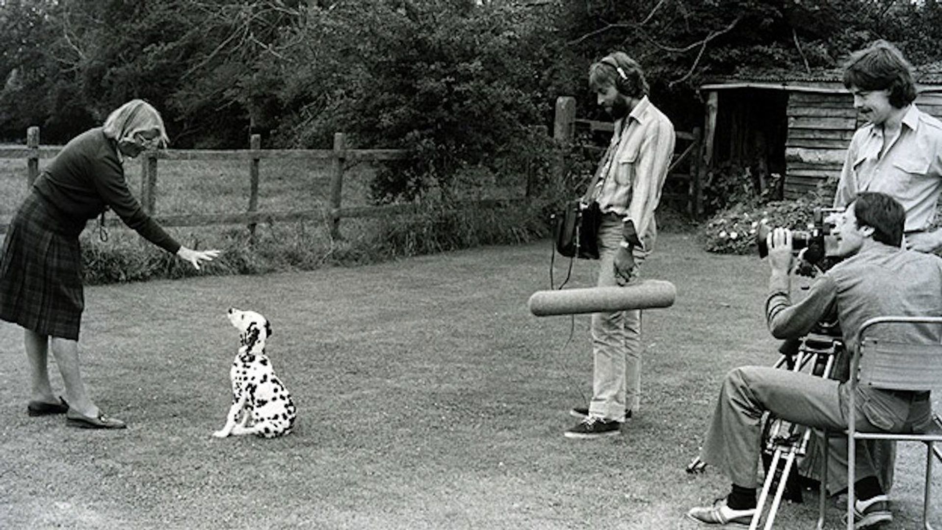 Training Dogs the Woodhouse Way background