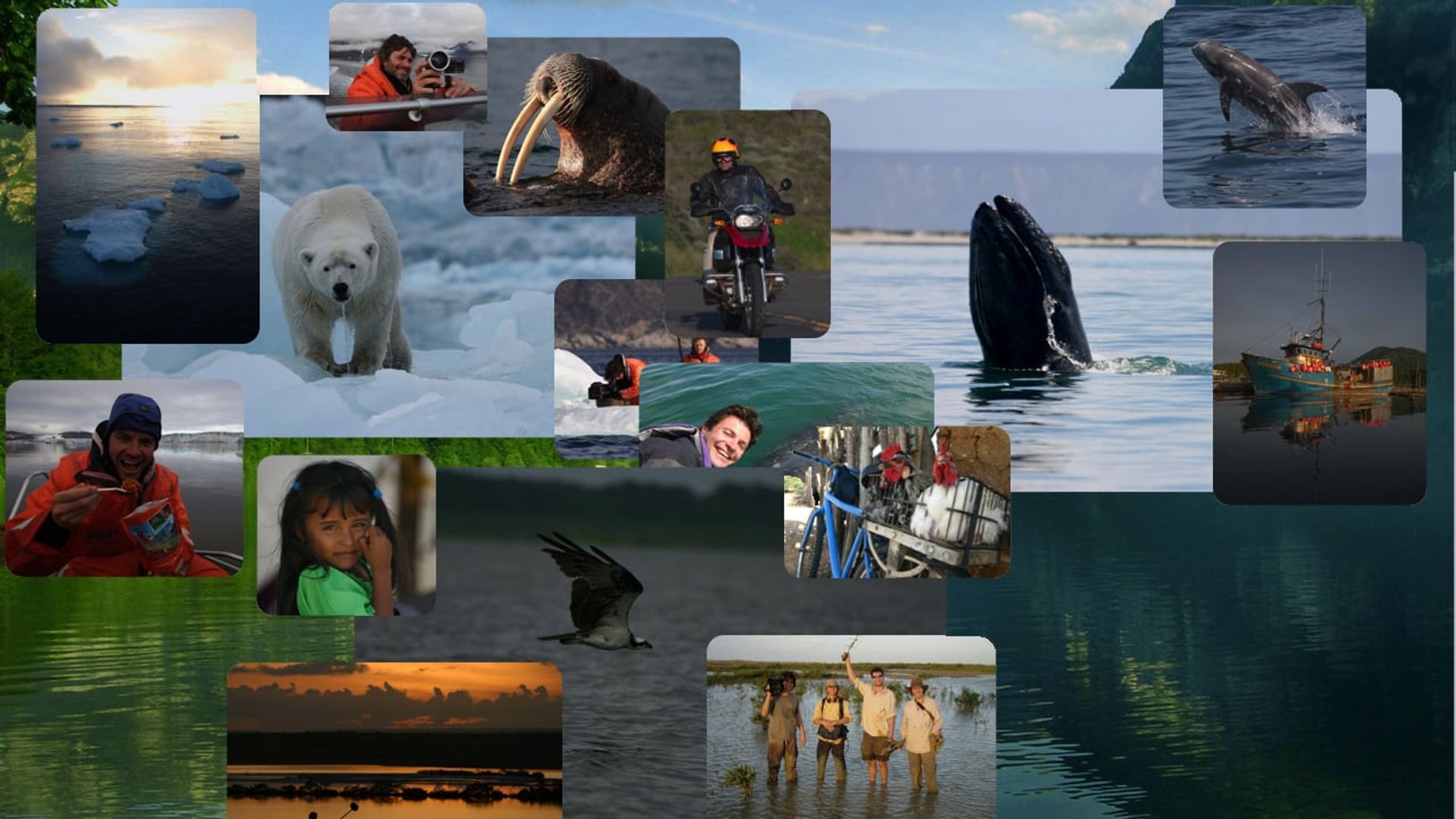 Journey of Life background