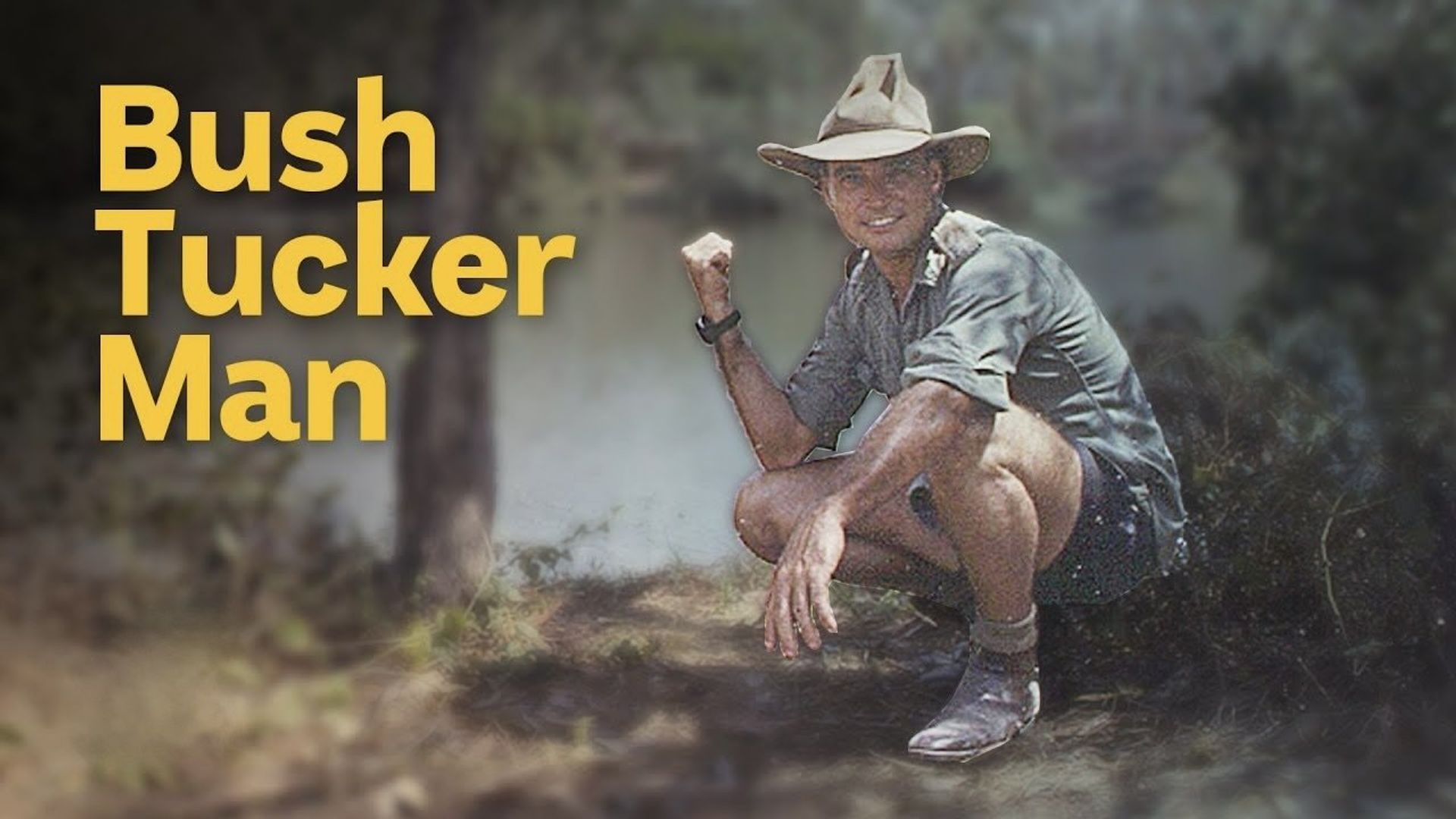 Bush Tucker Man background