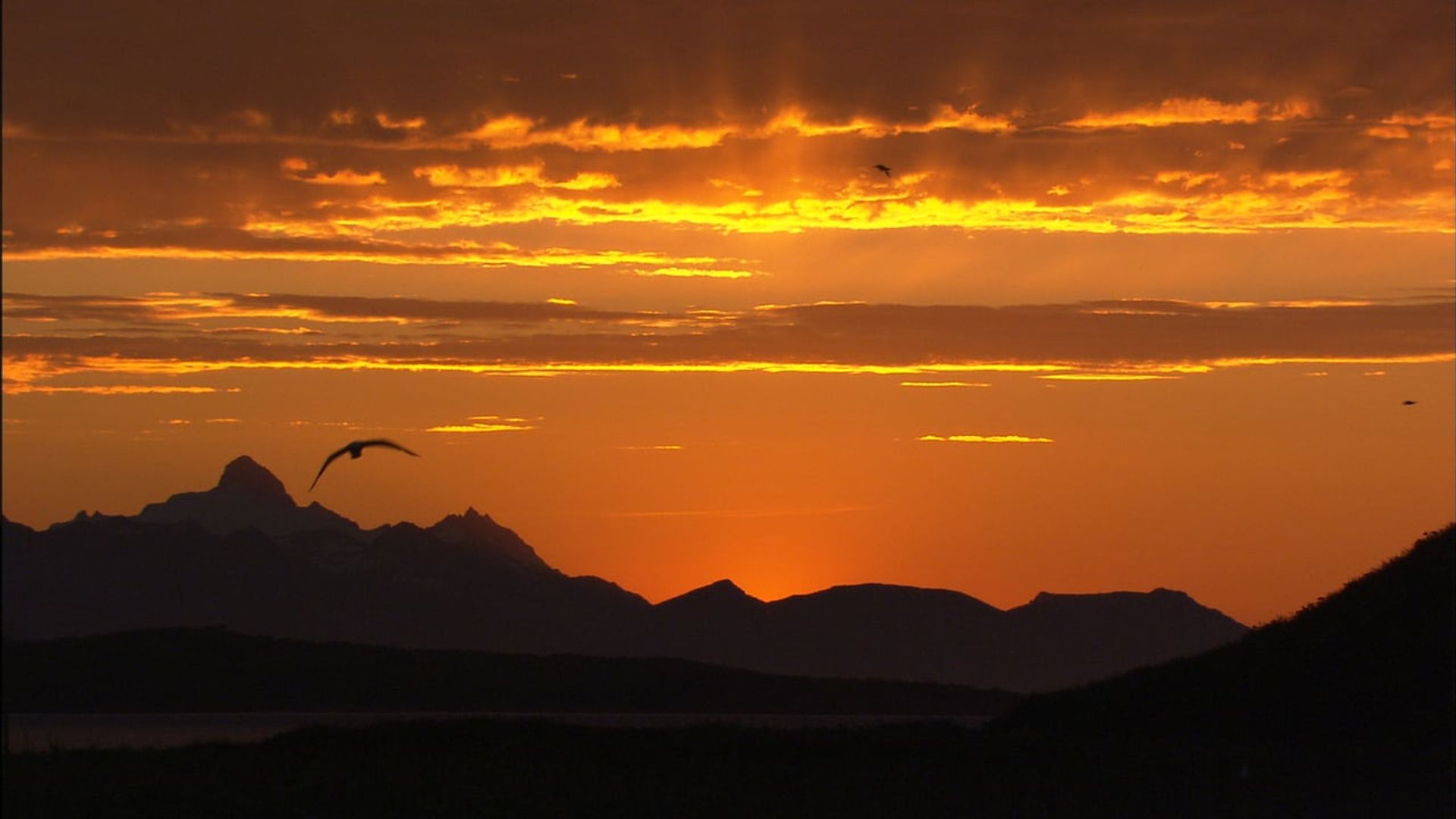 Sunrise Earth background