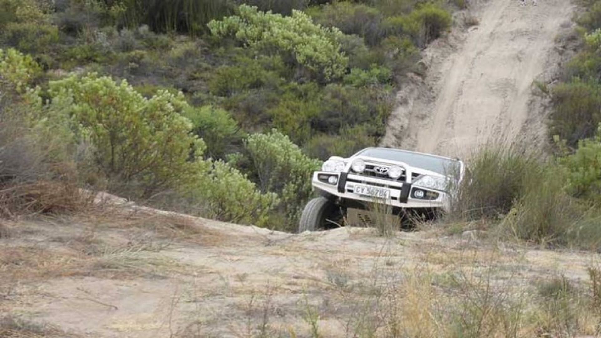 MegaWorld background