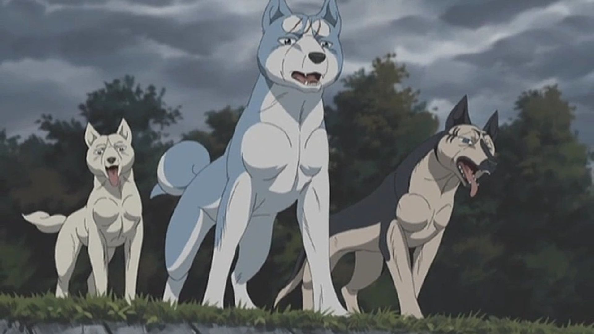 Ginga Densetsu Weed background