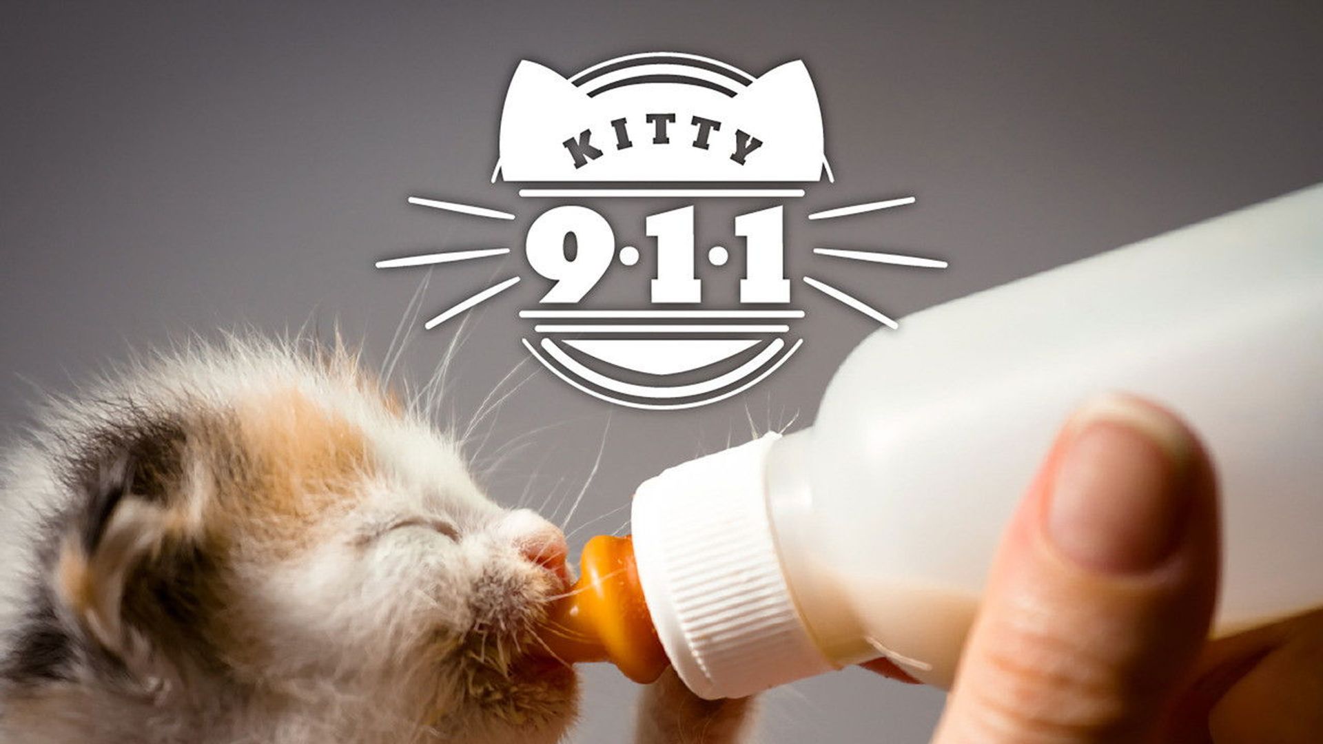 Kitty 911 background