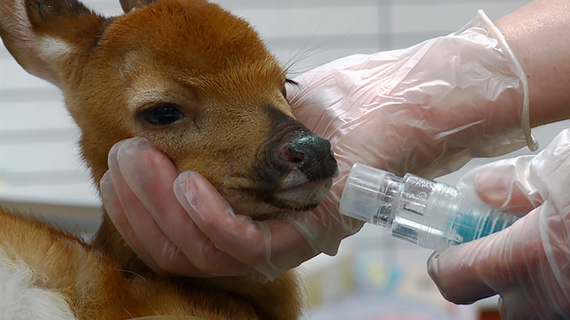 Doctor Barry background