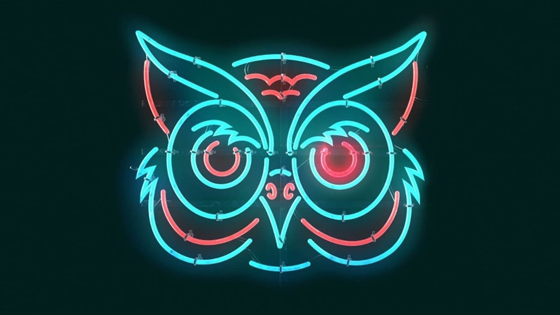 Big Brother: After Dark background