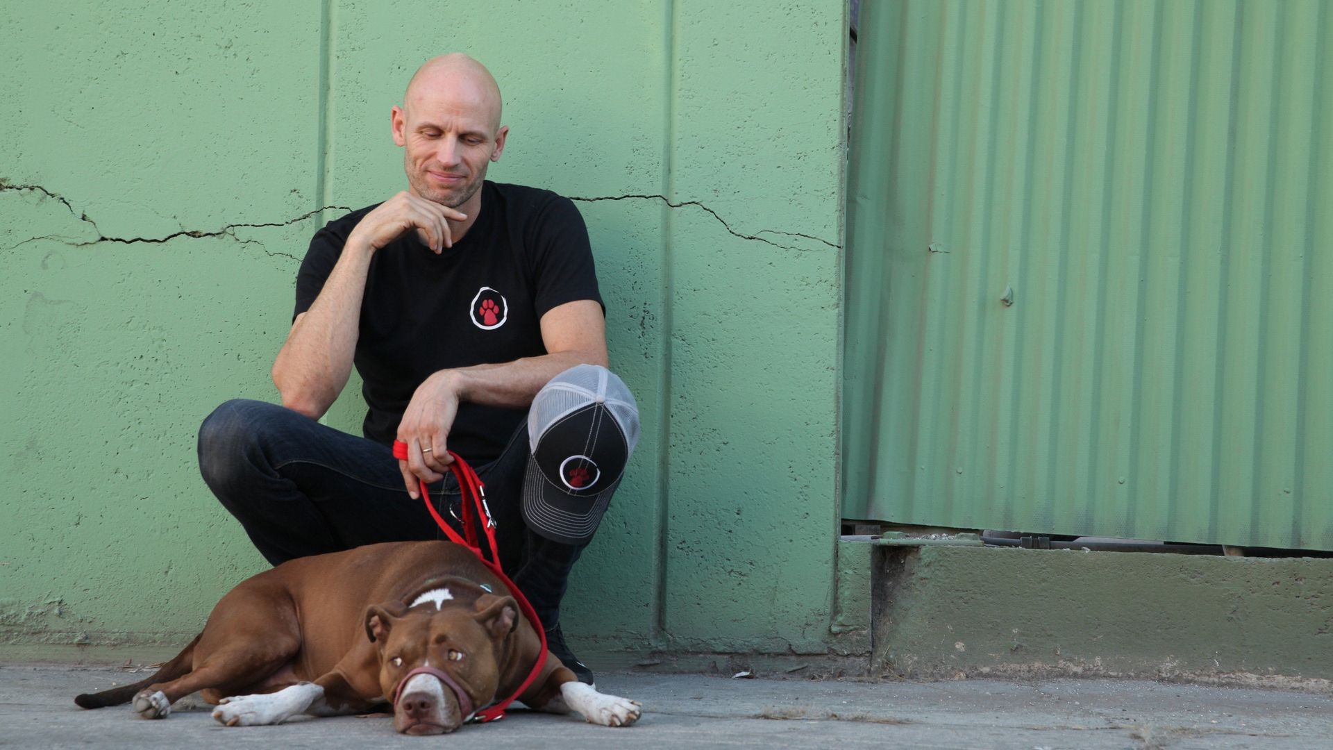 Dog: Impossible background