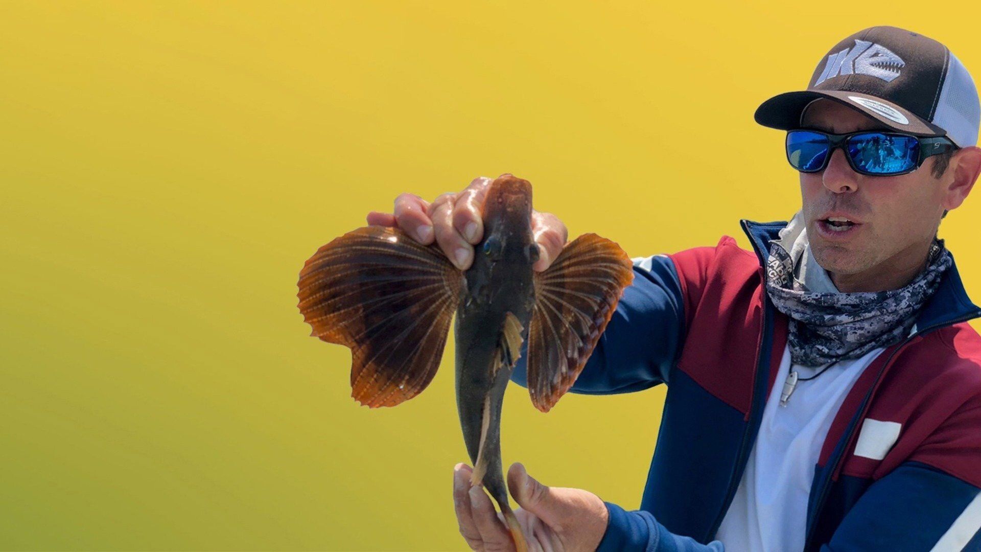 Fish My City background