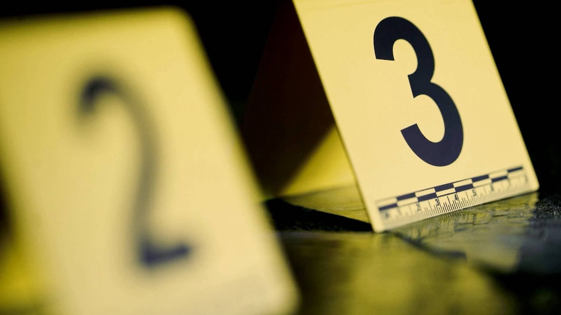 10 Steps to Murder background