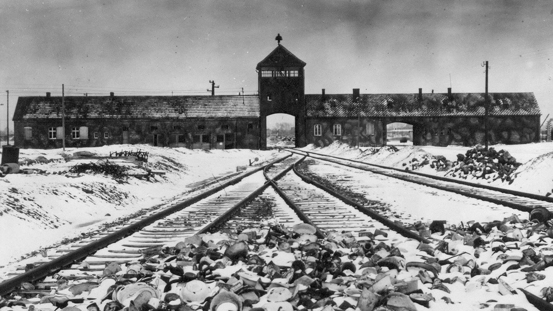 Ireland's Nazis background