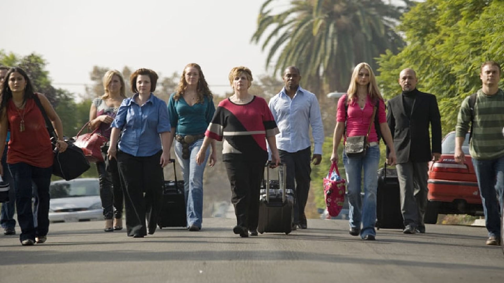 Groomer Has It background