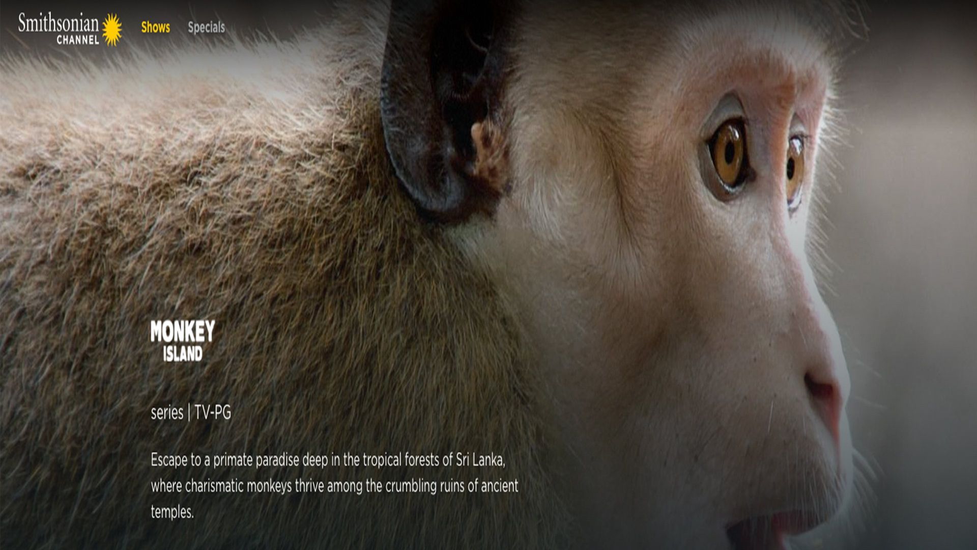 Monkey Island background