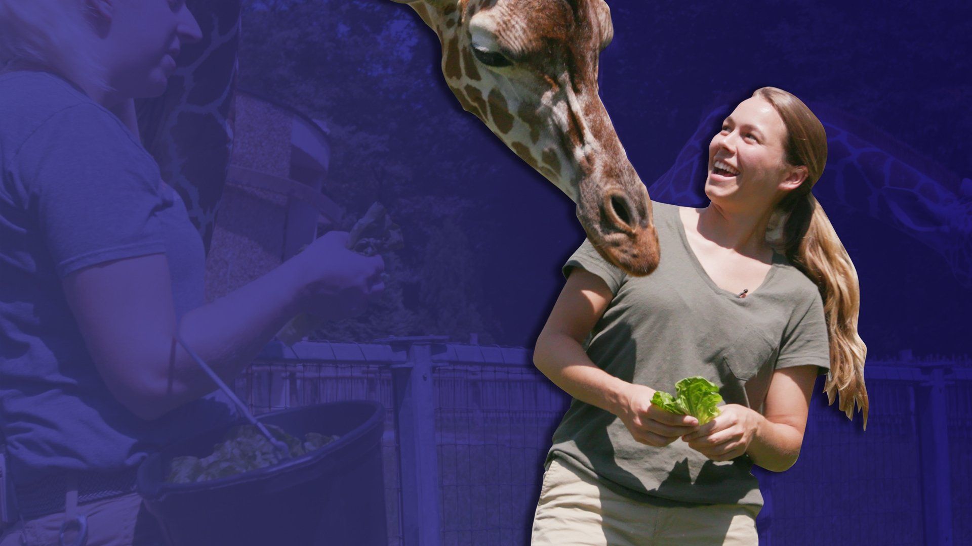 Sam's Zookeeper Challenge background