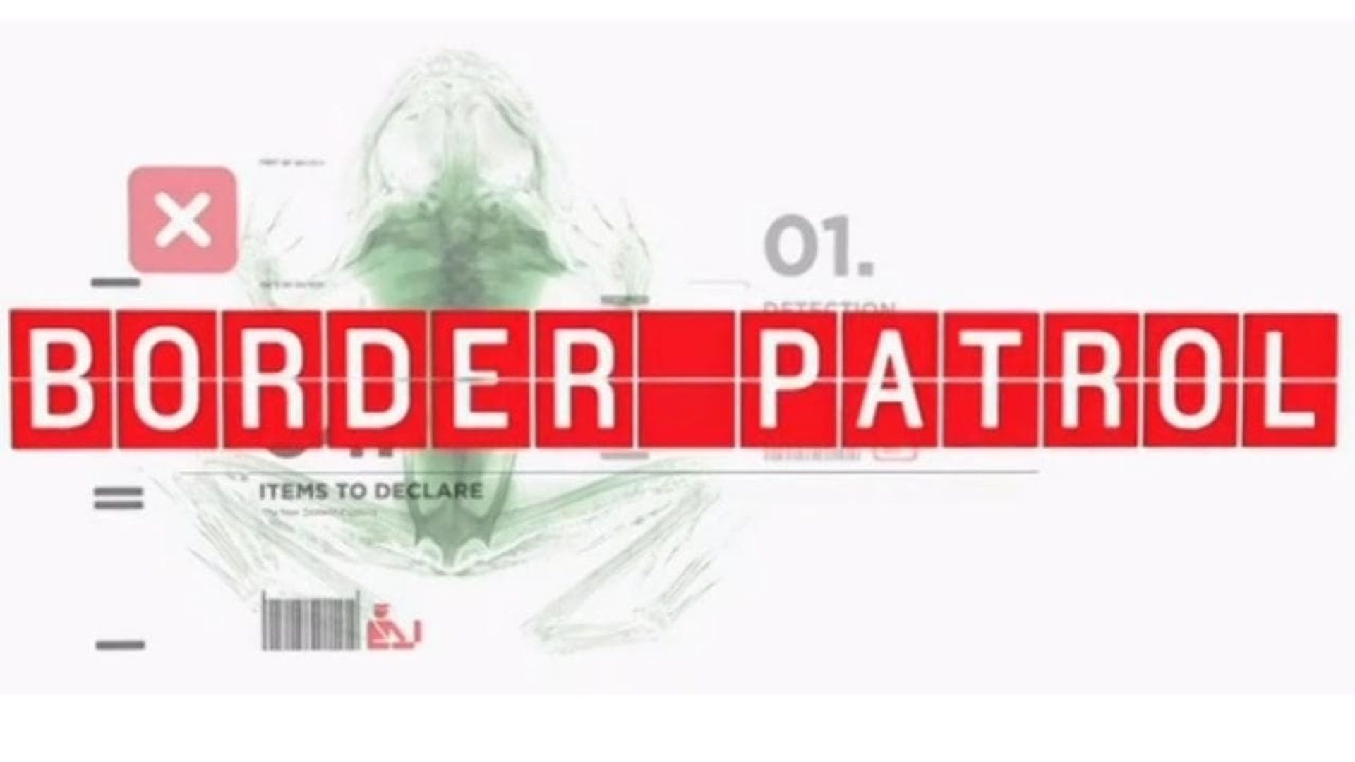 Border Patrol background