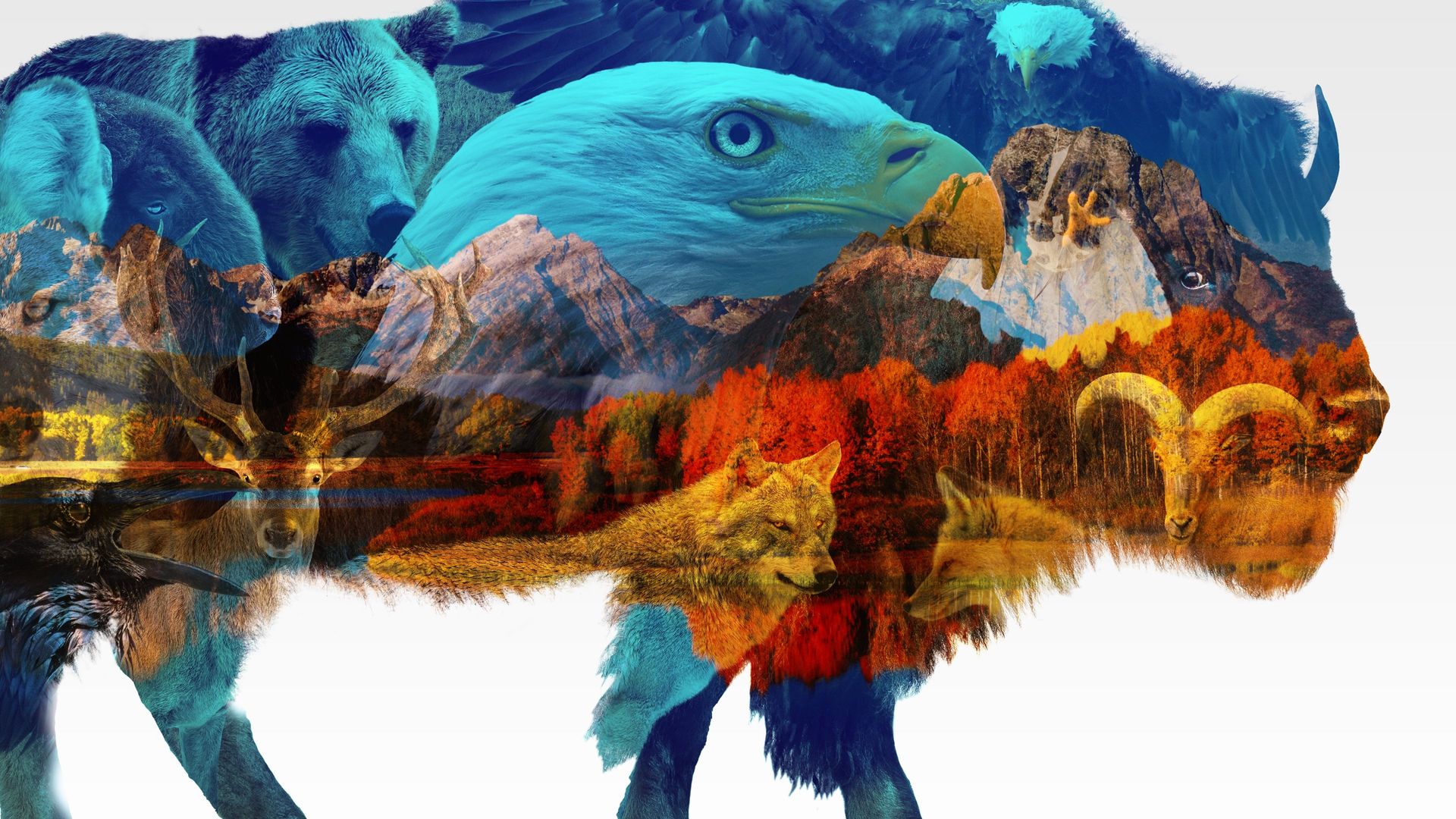 America the Beautiful background
