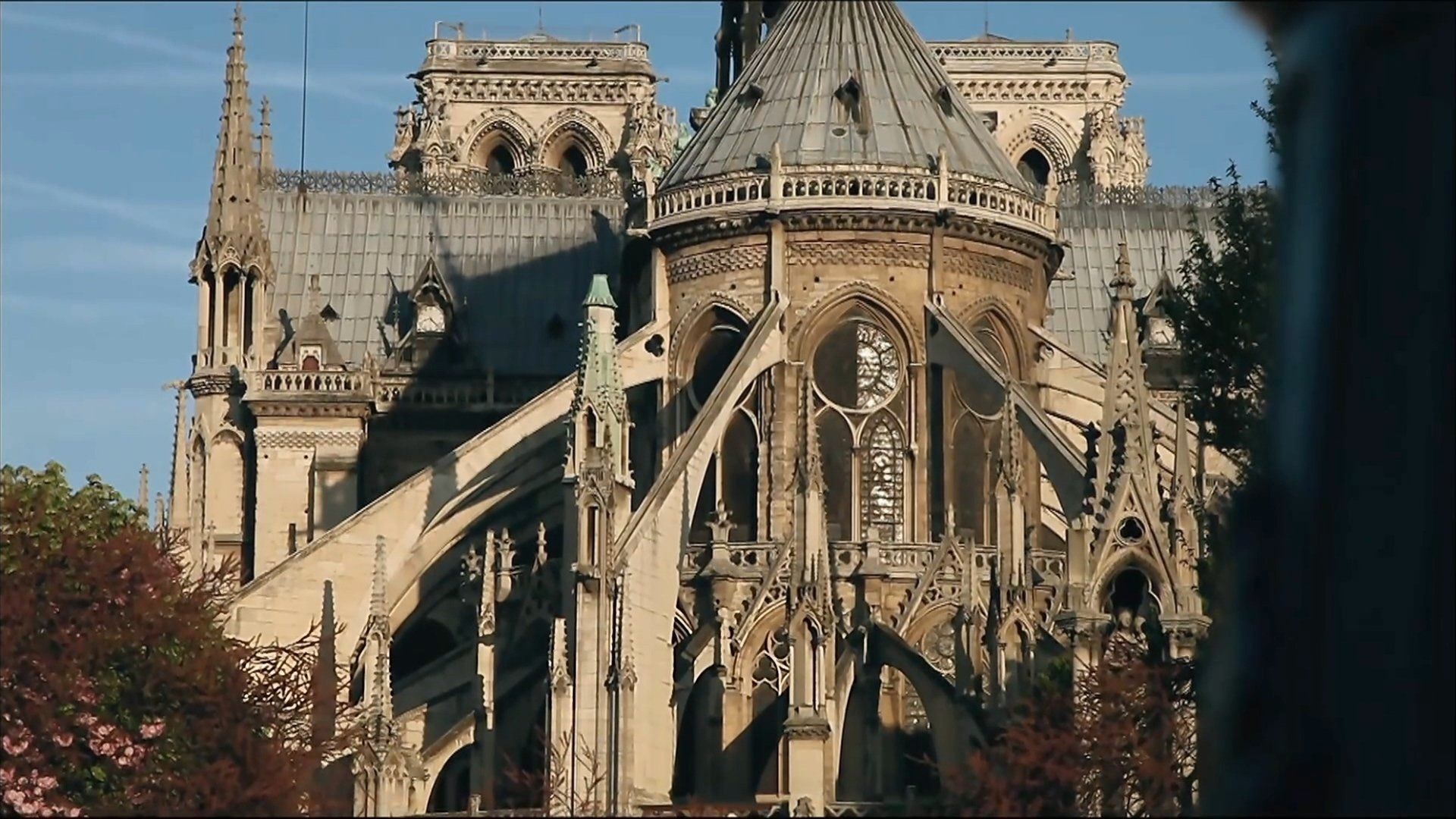 Paris Revealed background