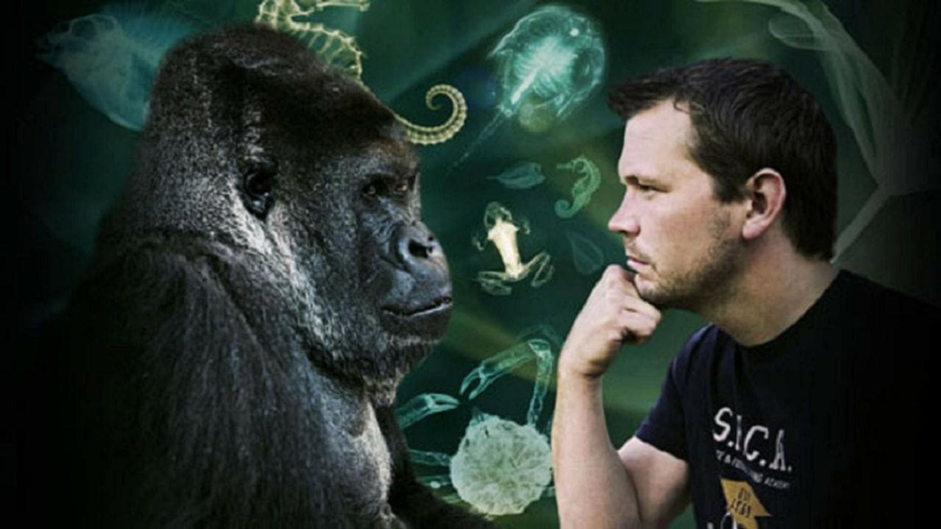 Jimmy Doherty in Darwin's Garden background