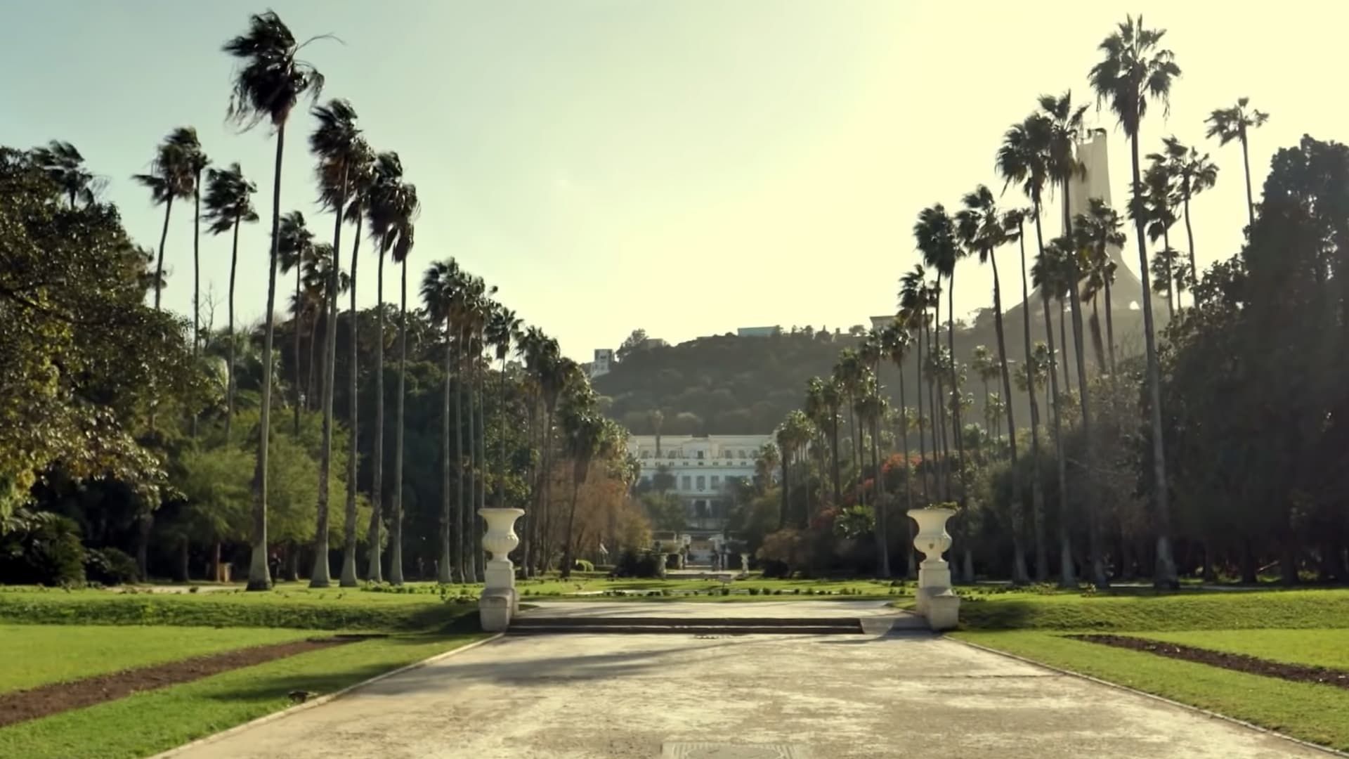 Hidden Algeria background