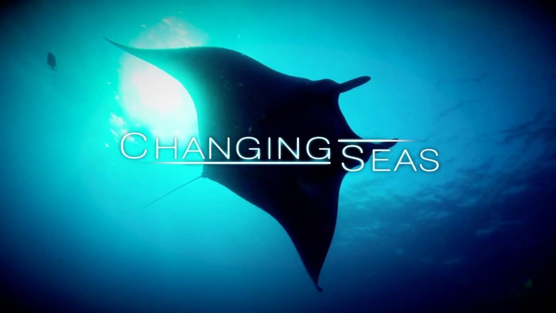 Changing Seas background