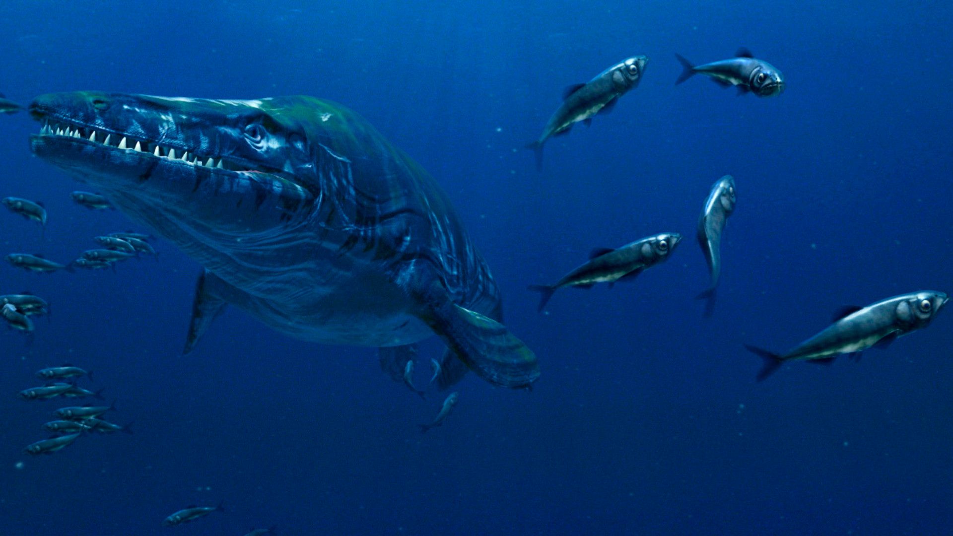 Mega Beasts background