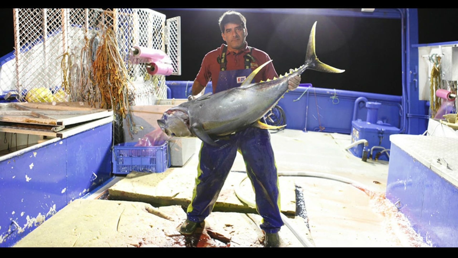 Hardliners background