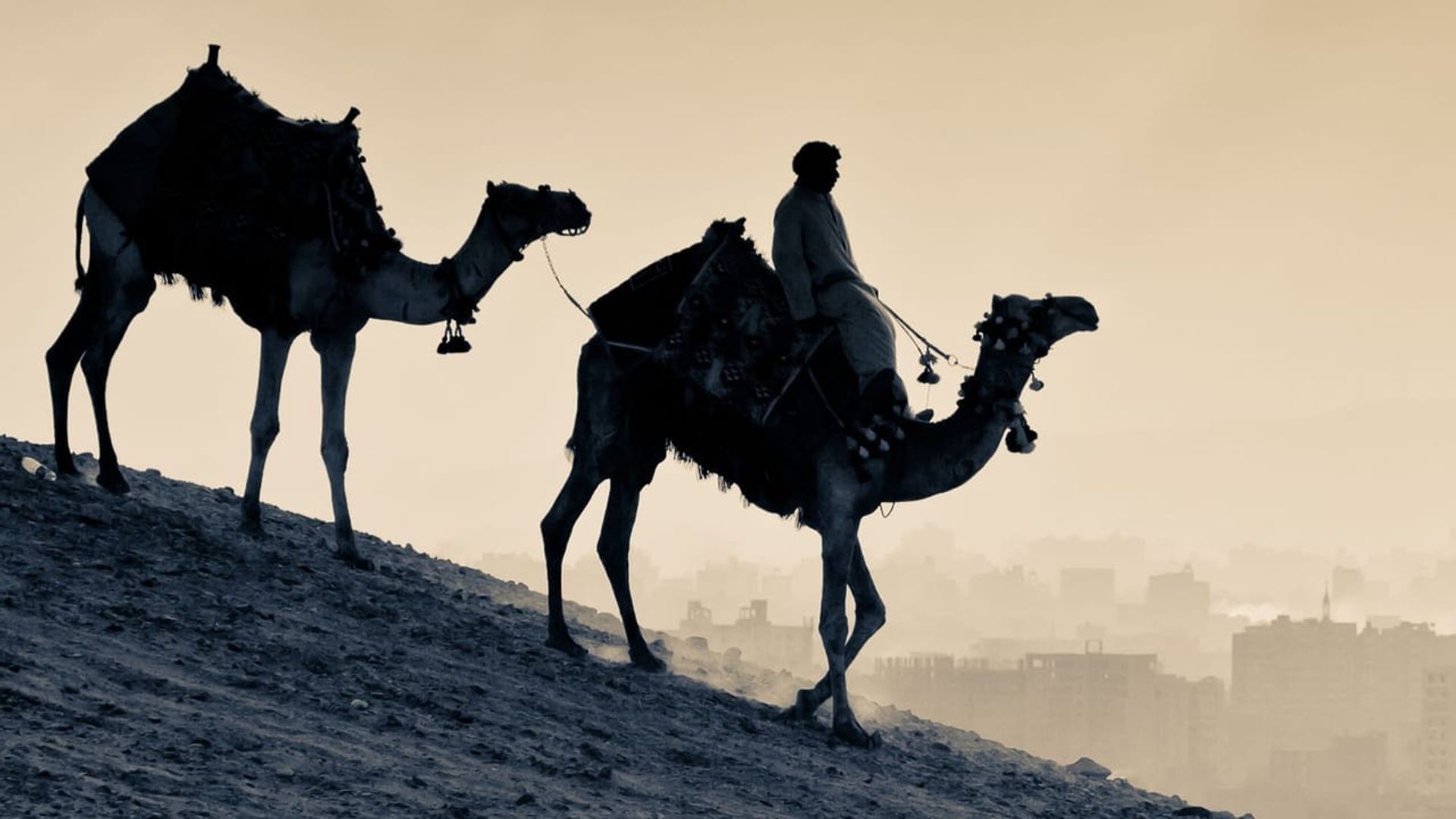 What the Ancients Knew background