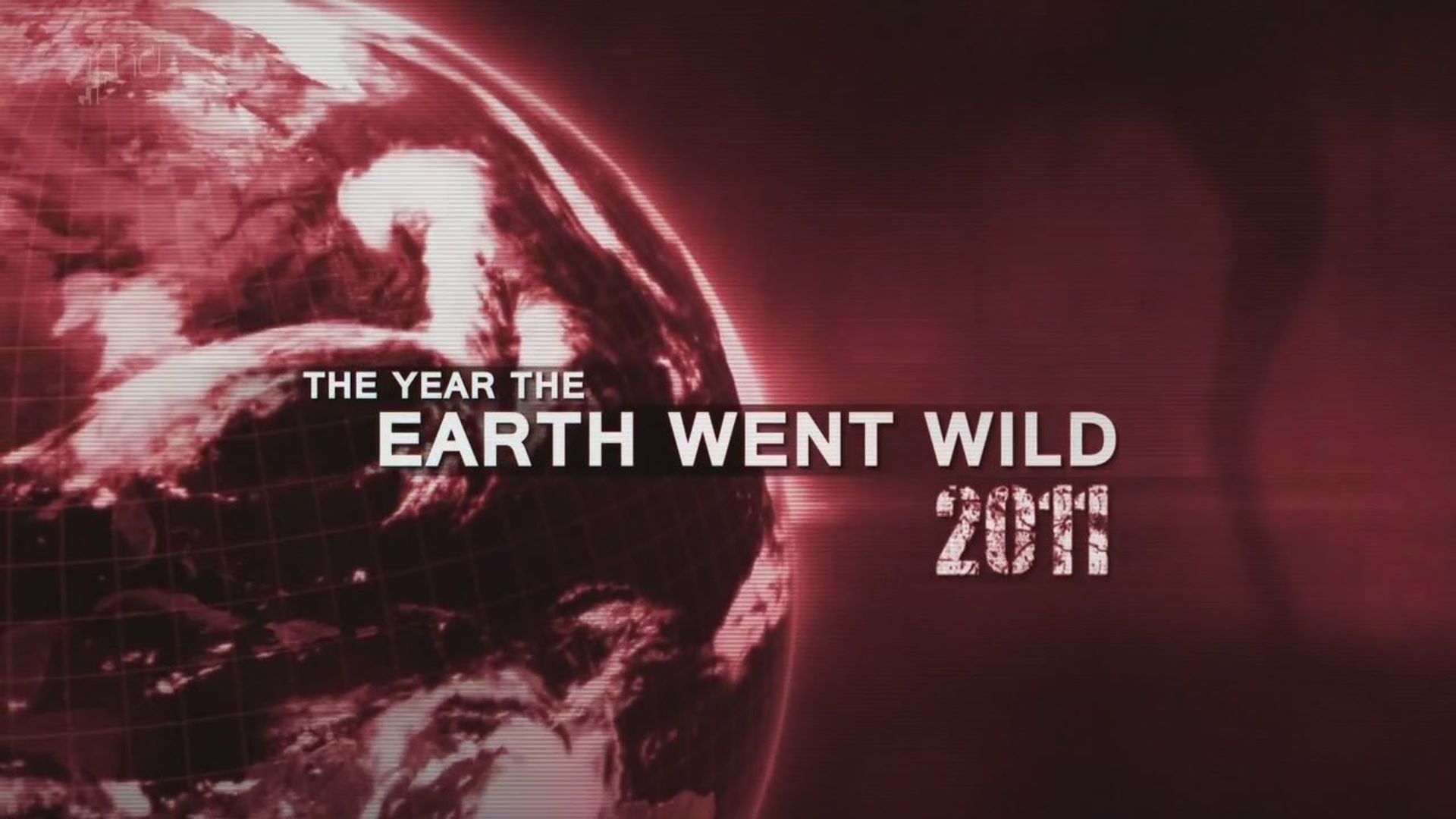 The Year the Earth Went Wild background