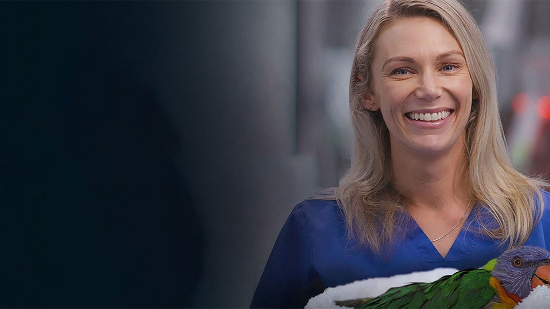 Wildlife Rescue Australia background