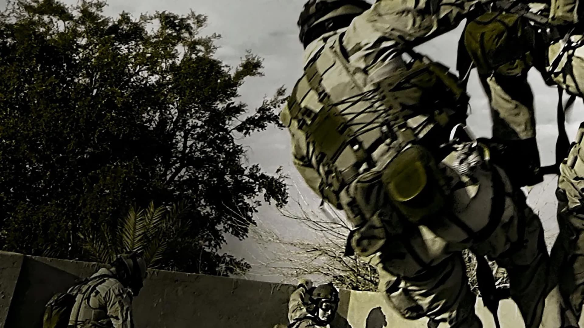 Ultimate Warfare background