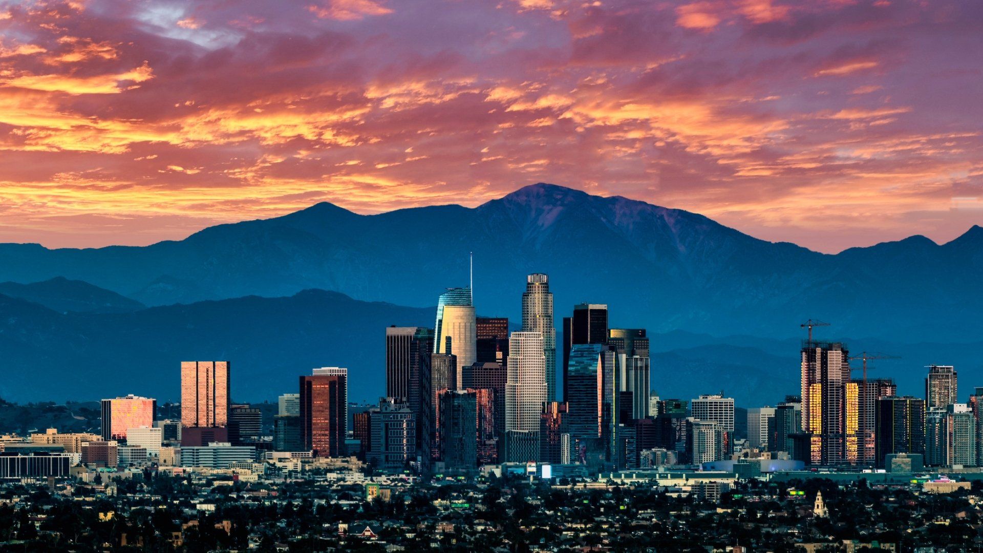 Boy from LA background