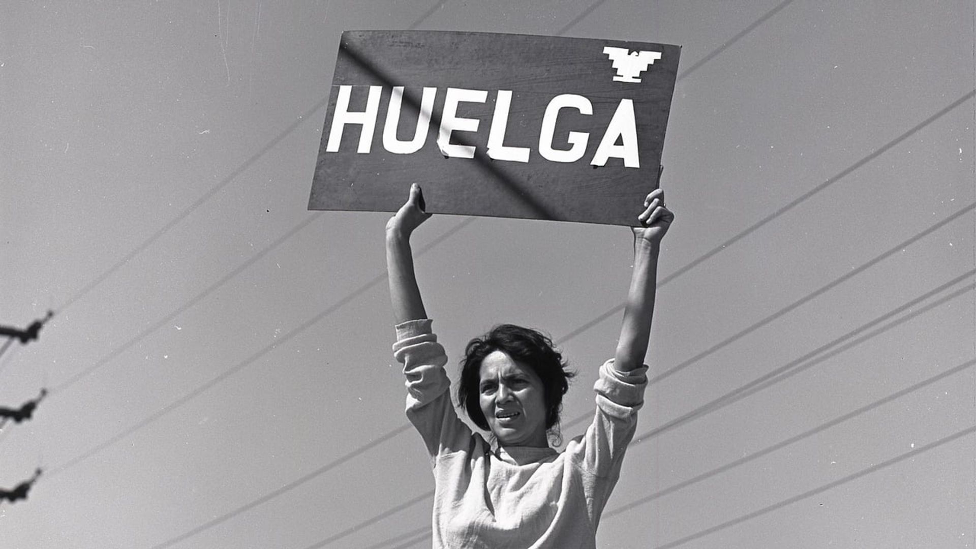 Latino Americans background