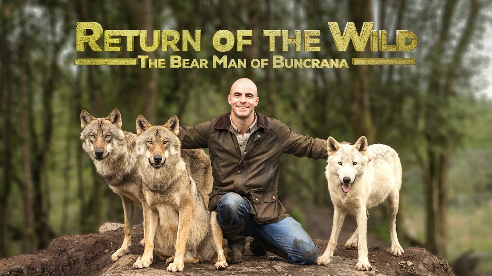 Return of the Wild: The Bearman of Buncrana background