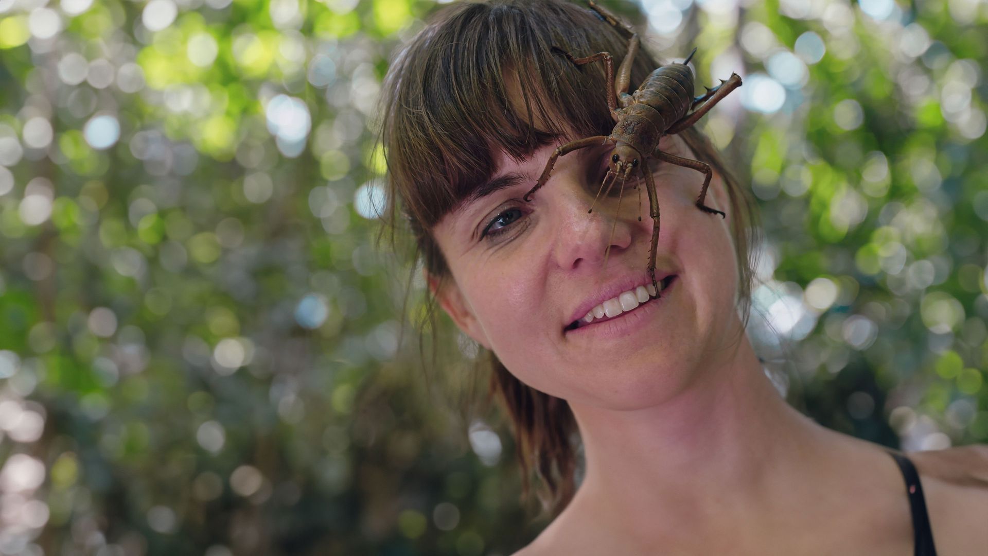 Fascinating New Zealand background