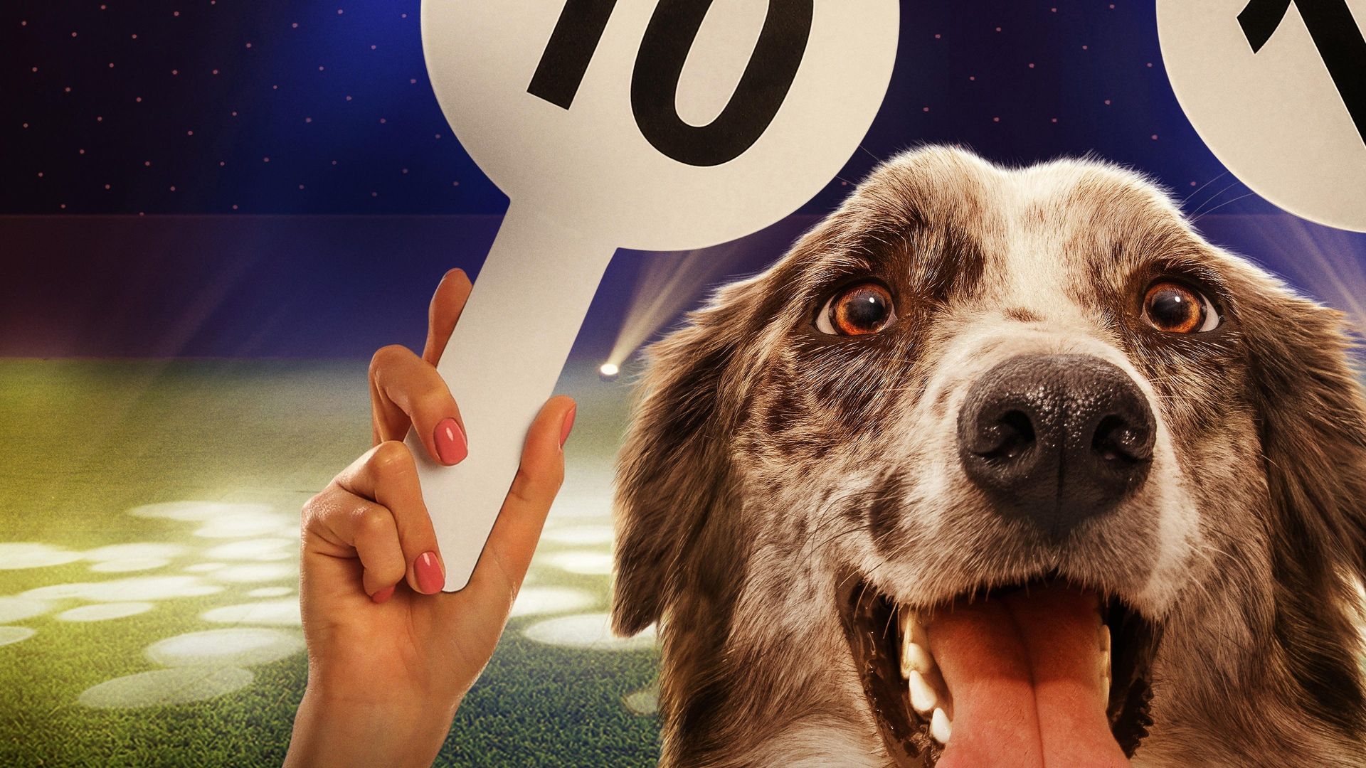 The Secret Life of Dancing Dogs background