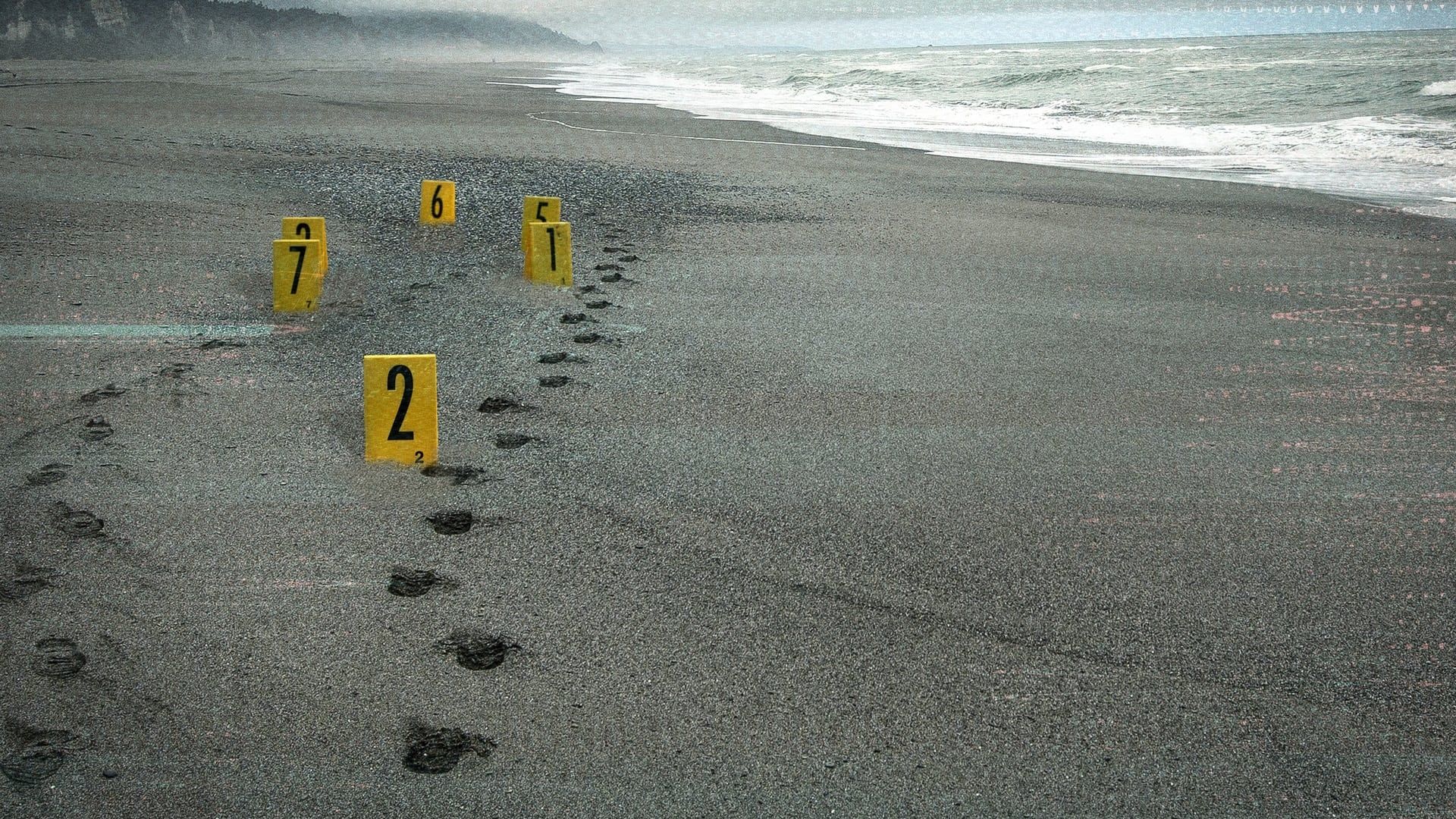Murdered: The Baby on the Beach background