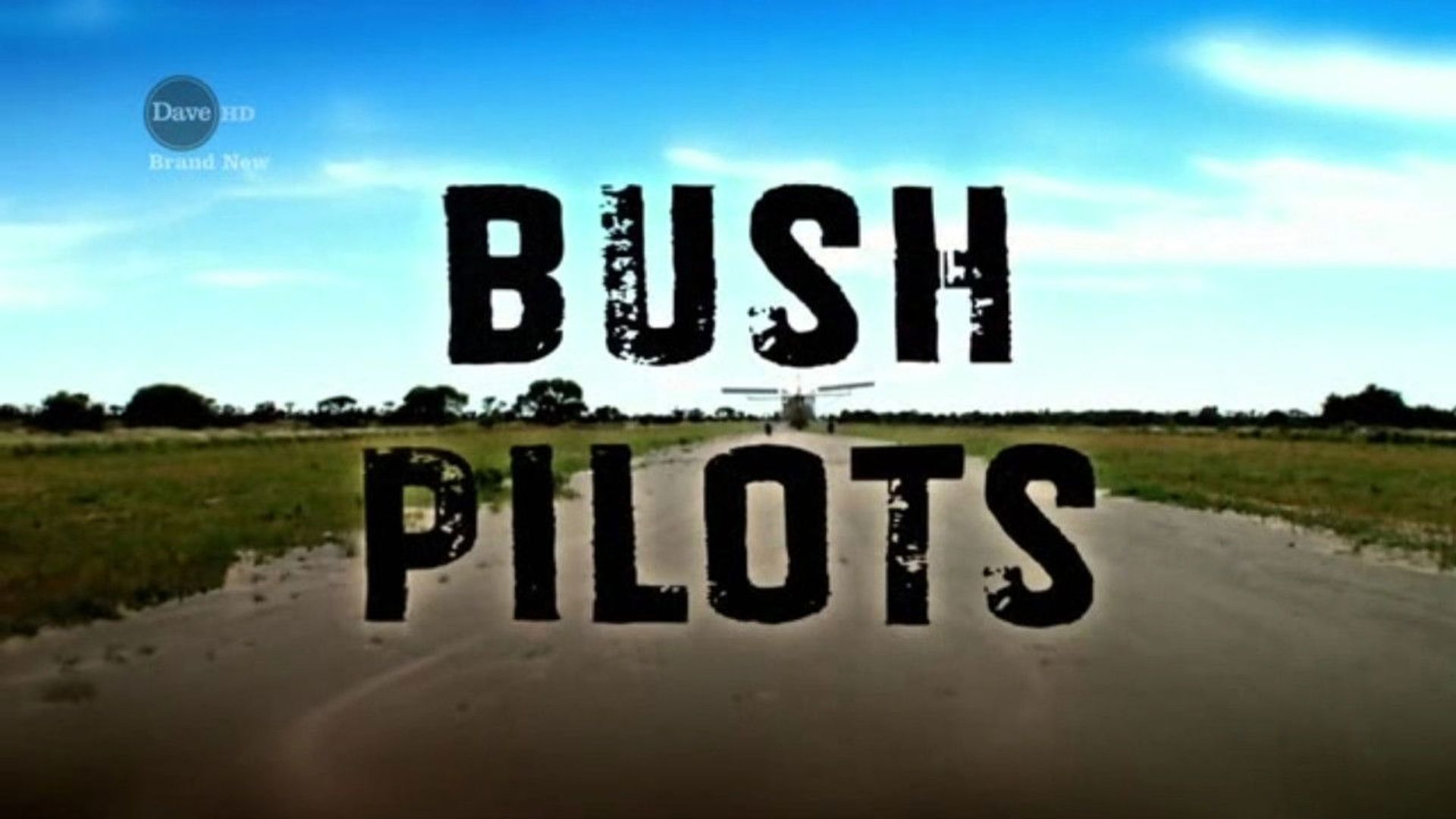 Bush Pilots background