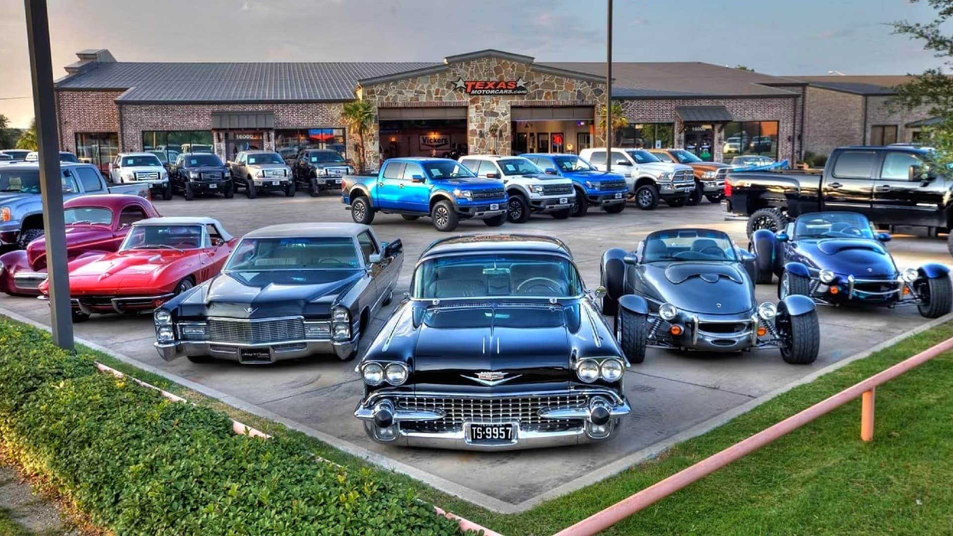 Dallas Car Sharks background