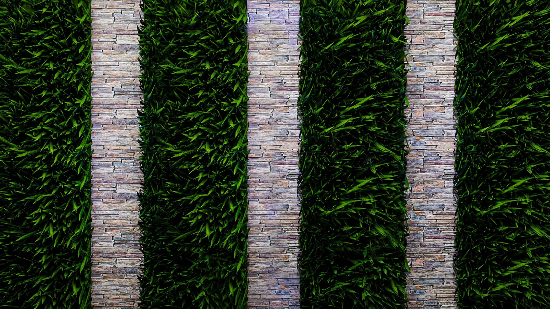 The Elle Duncan Show background