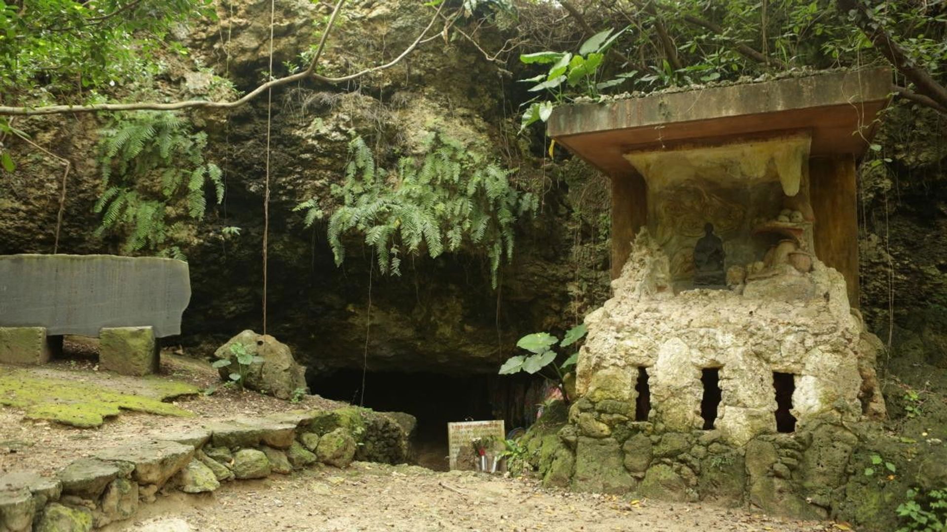 I Wouldn't Go in There background