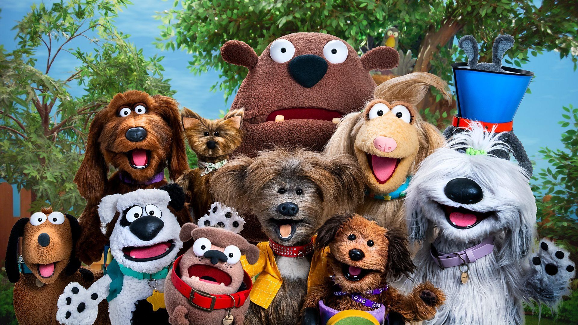 Dodge's Pup School background