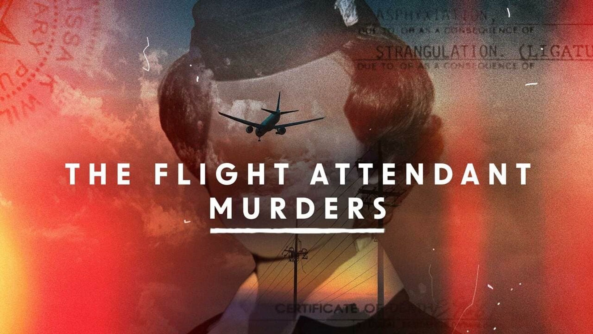 The Flight Attendant Murders background