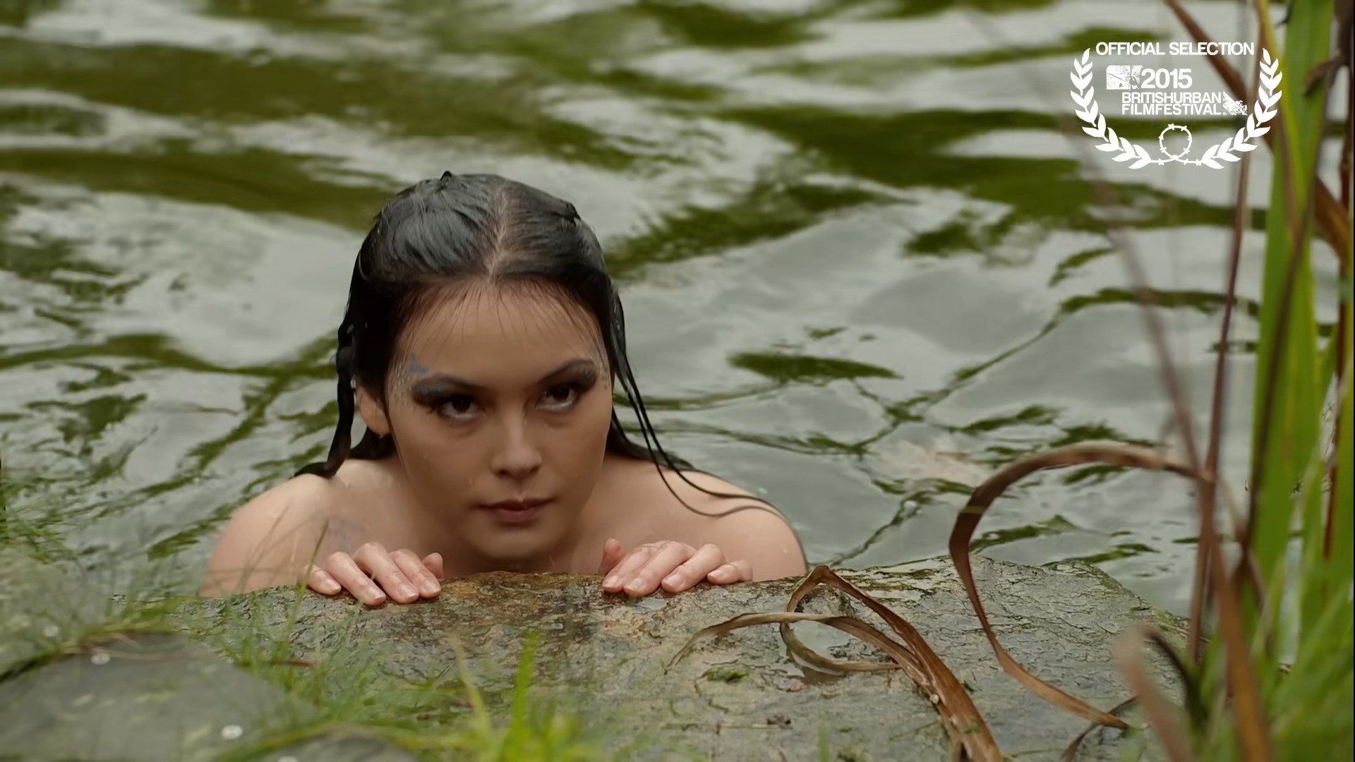 Still Waters background