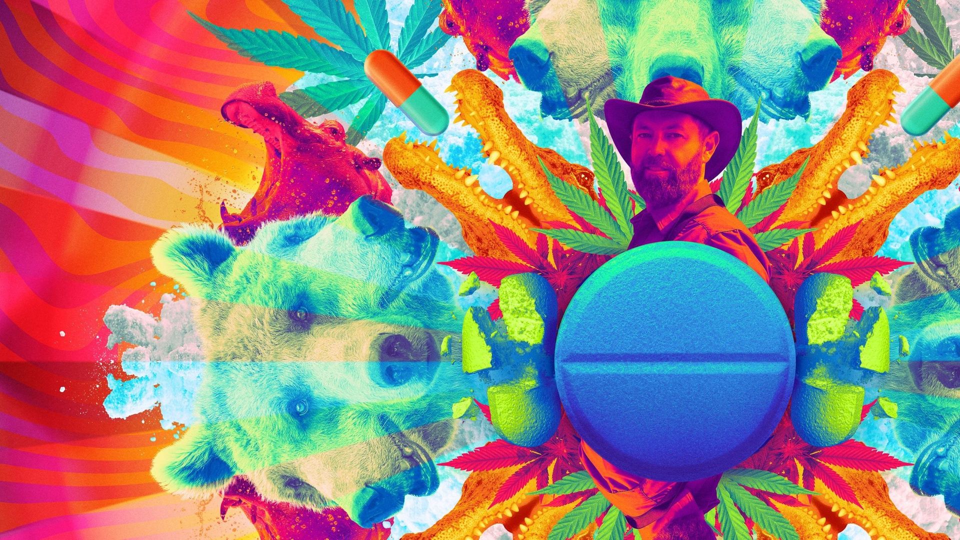 Animals on Drugs background