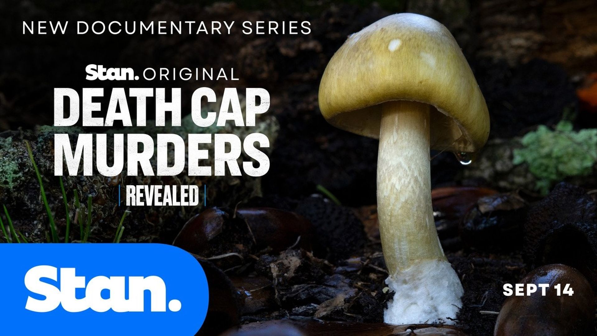 Revealed: Death Cap Murders background