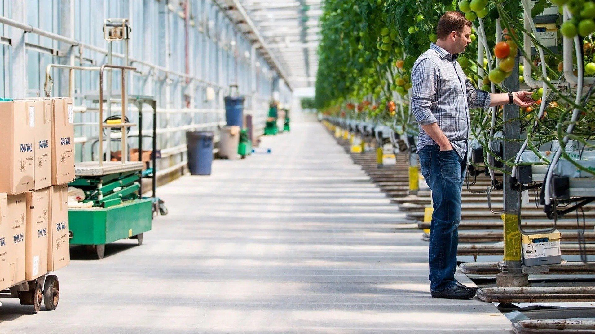 Eat: The Story of Food background