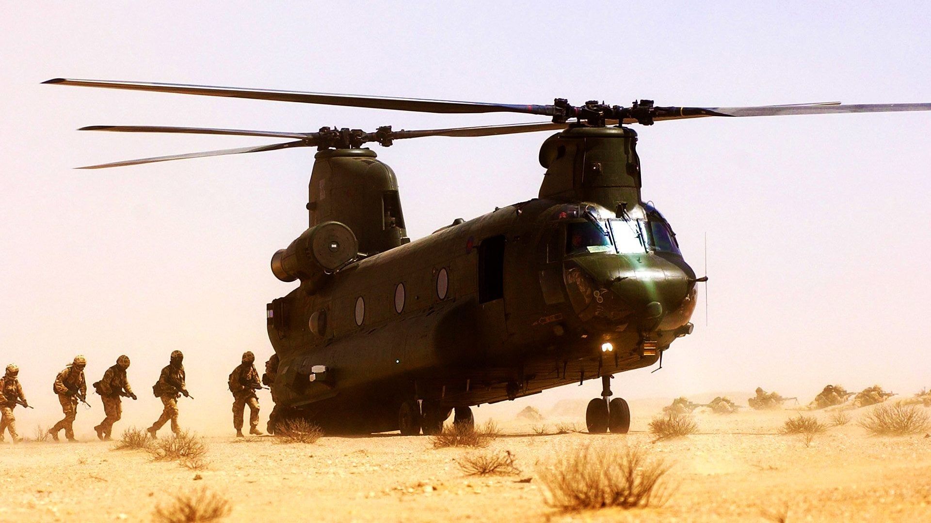 Afghanistan: The Lion's Last Roar? background