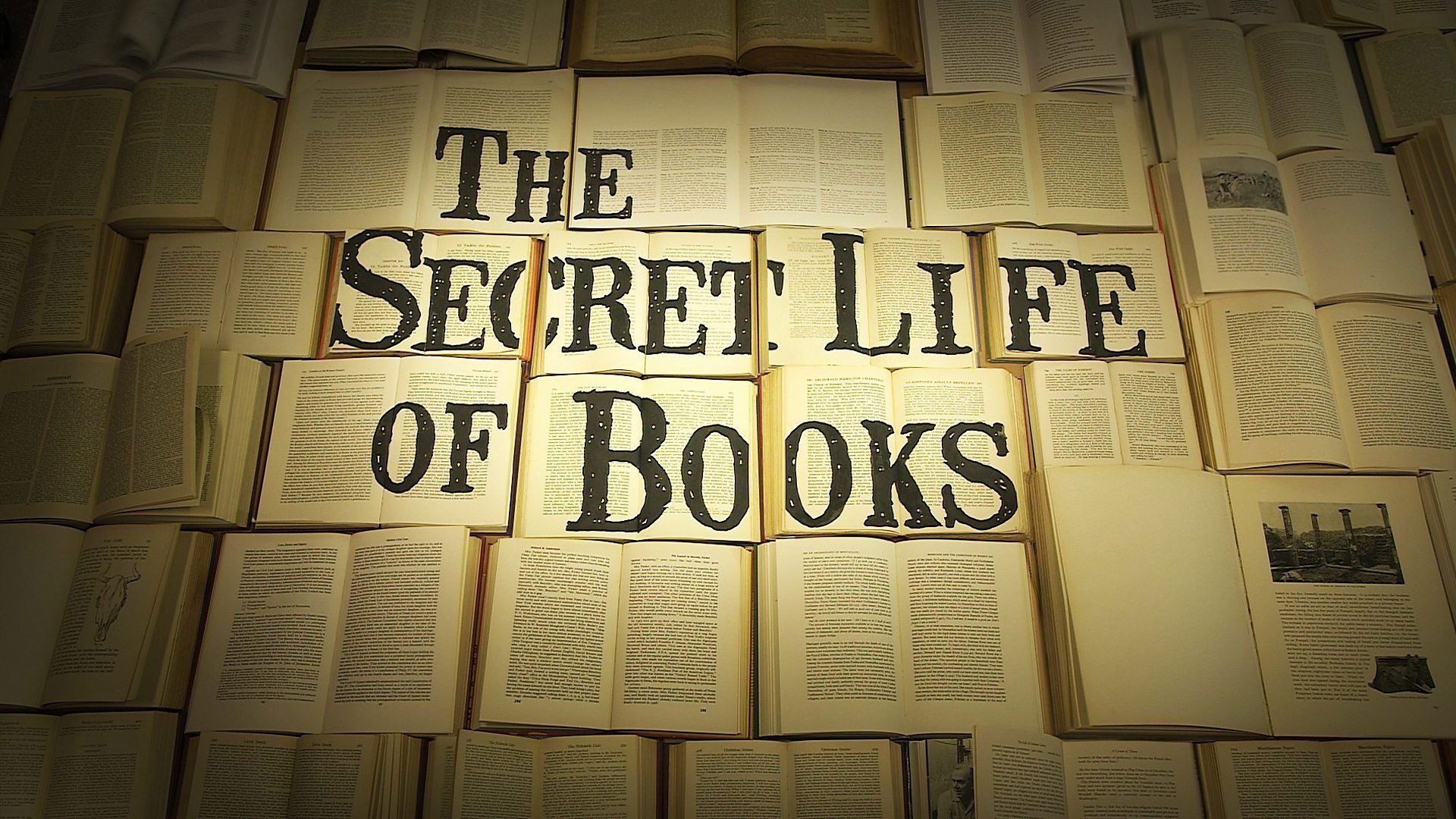 The Secret Life of Books background