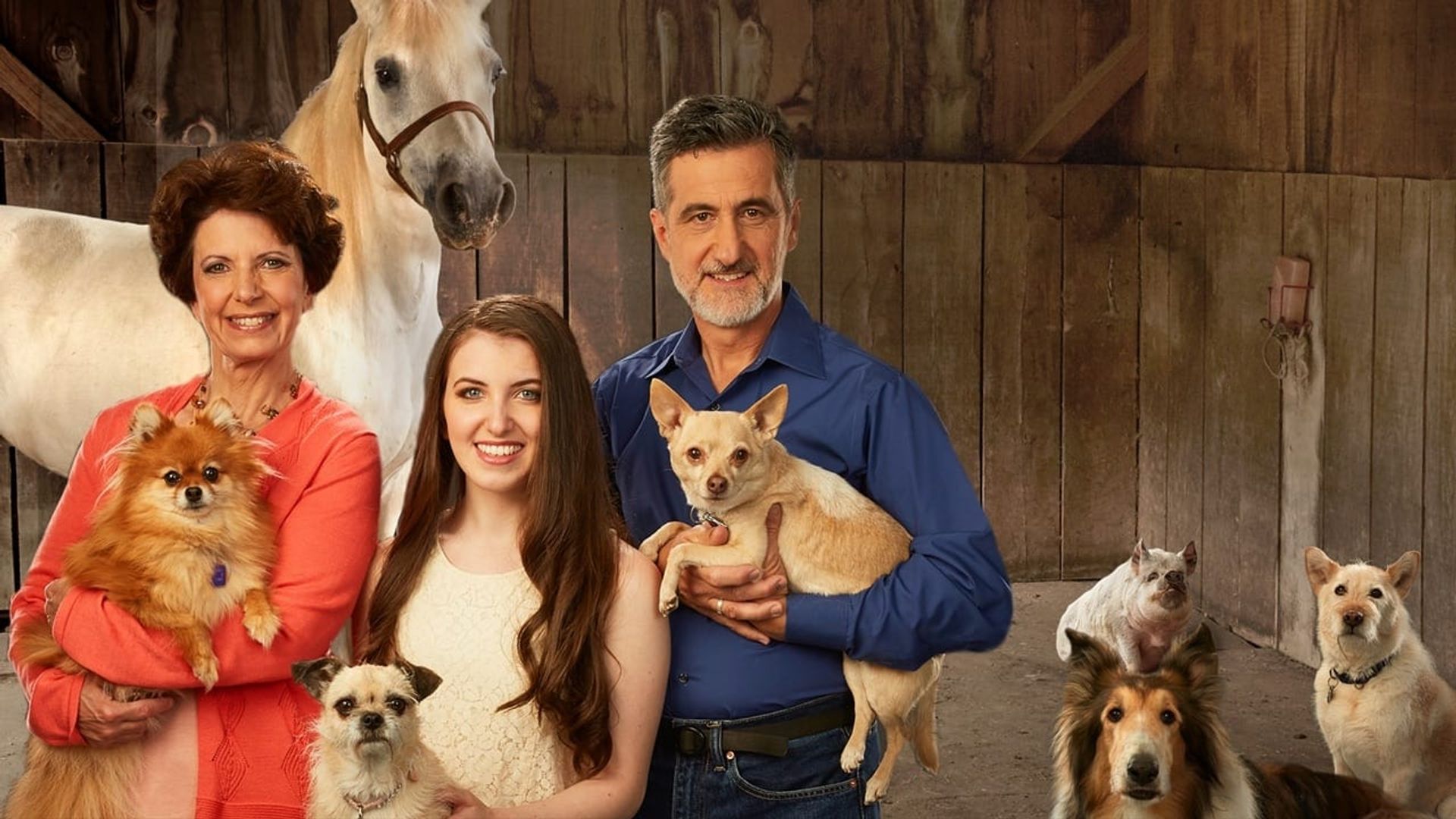From Wags to Riches with Bill Berloni background