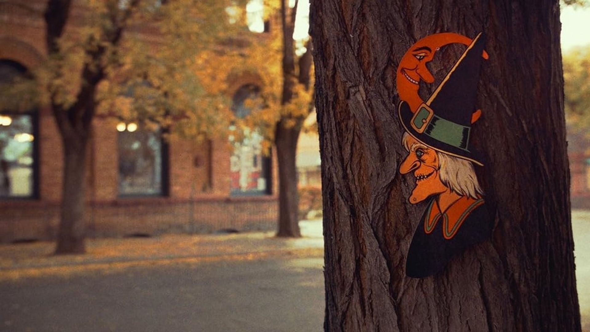 The Witching Season background