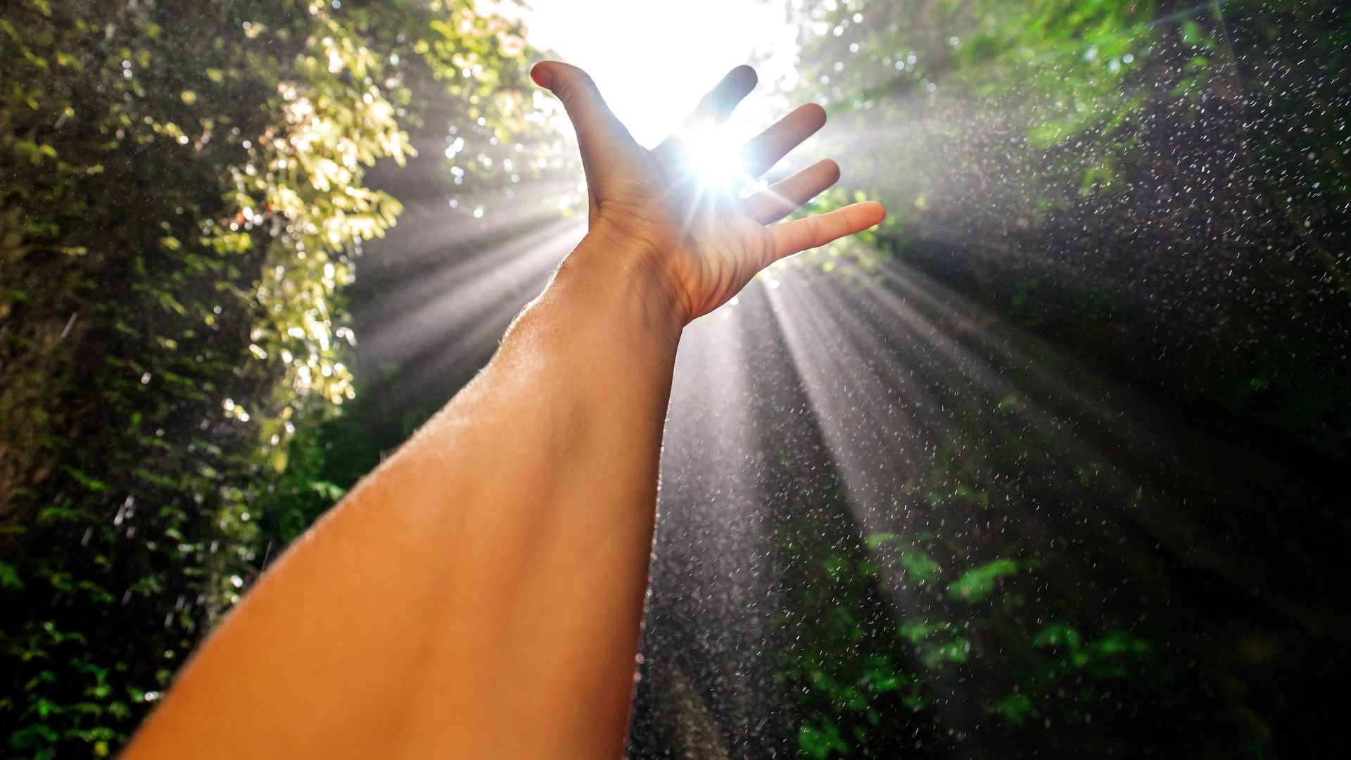 American Tarzan background